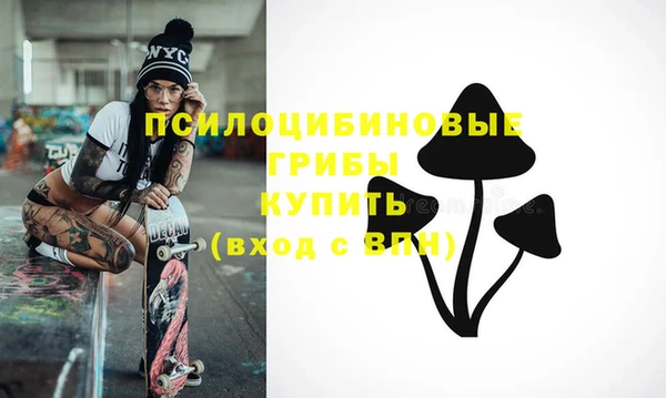 сатива Волоколамск