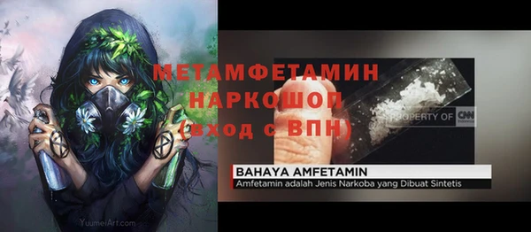 сатива Волоколамск
