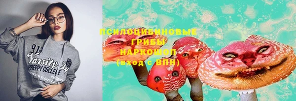 сатива Волоколамск