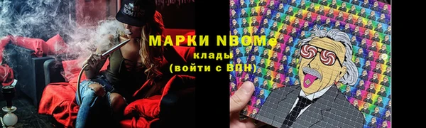 сатива Волоколамск
