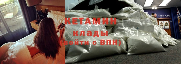 сатива Волоколамск