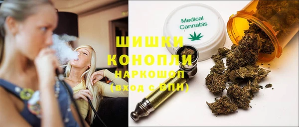 сатива Волоколамск
